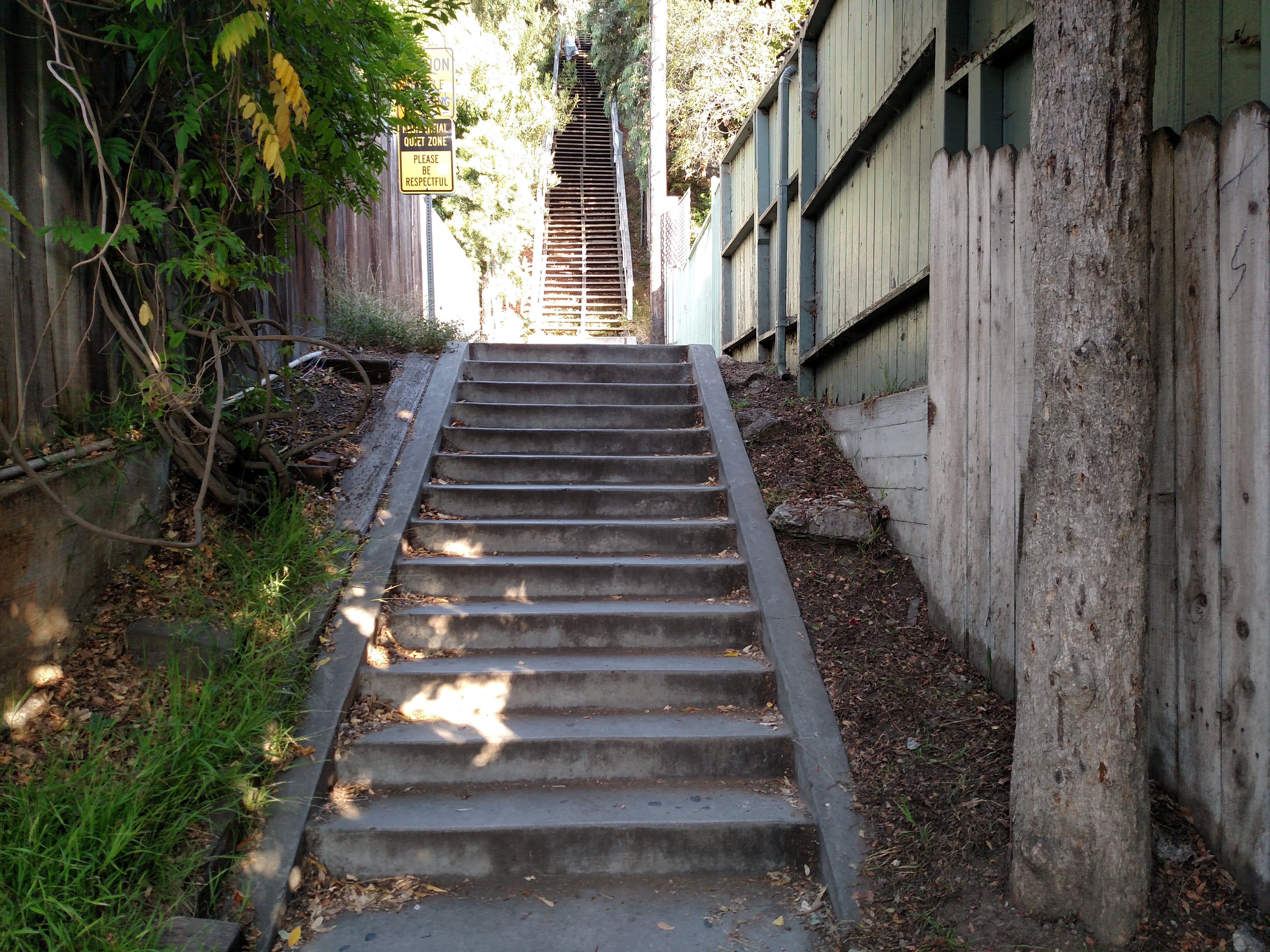 Discover the Hidden Stairs of Los Angeles Discover Los Angeles